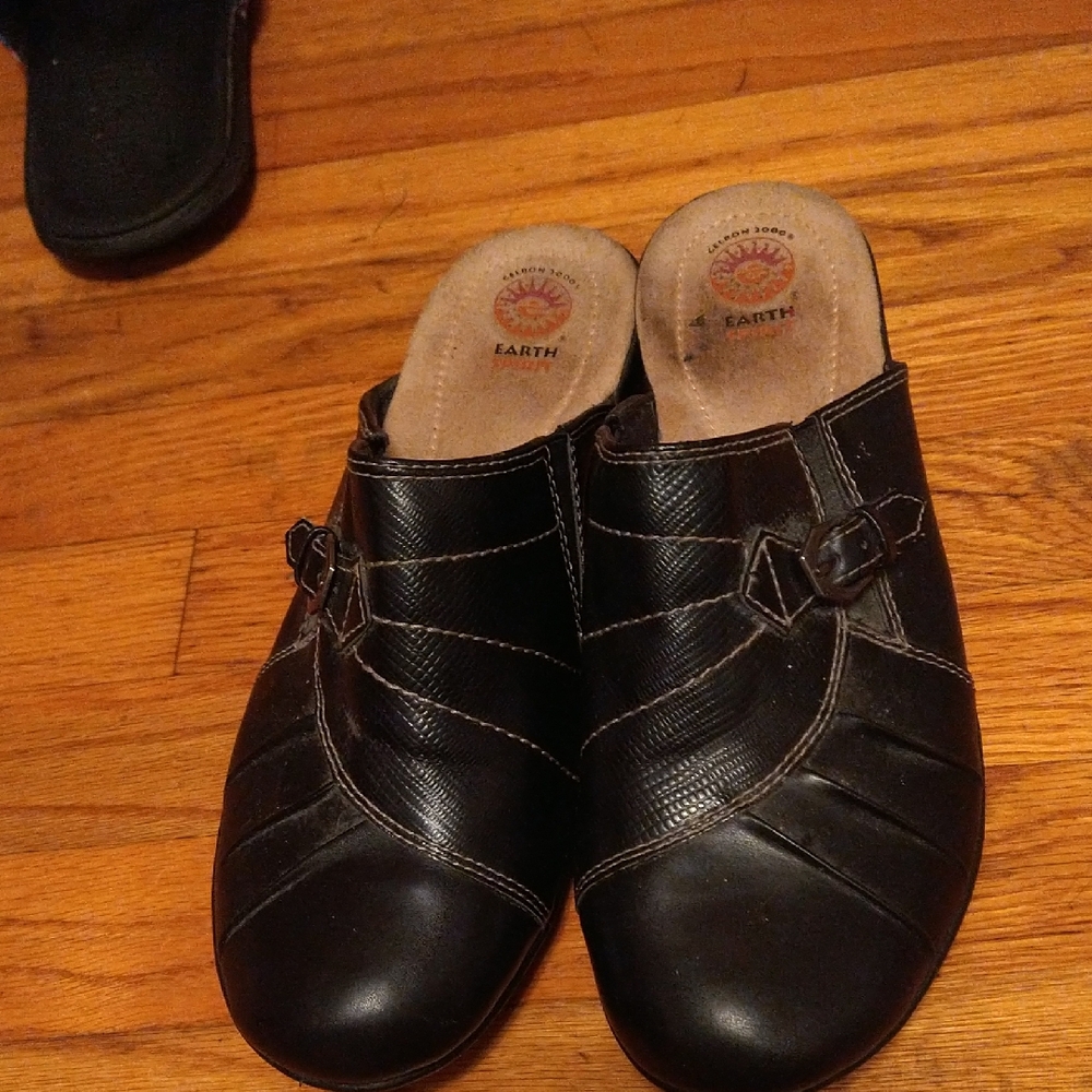 Earth Black Leather Buckle Mules